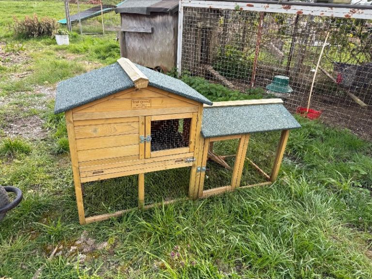 small animal hutch 