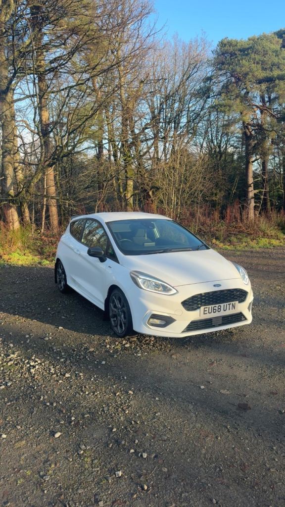Ford fiesta 1L eco boost 125 