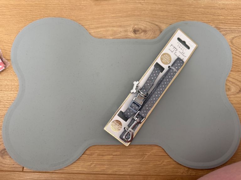 Puppy lead and bowl mat