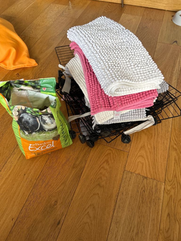 Guinea pig cage - FREE