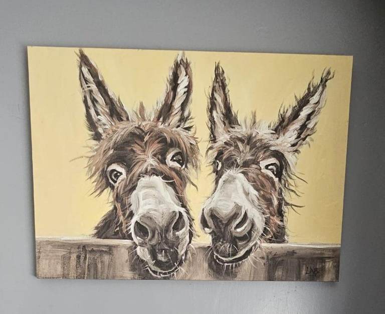 Donkey Wall Art