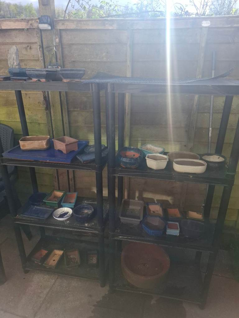 Bonsai pots 