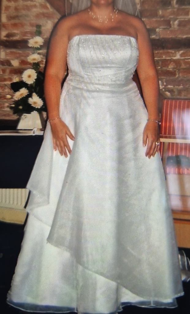 Rosetta Nicolini Wedding Dress - Used, Excellent Condition