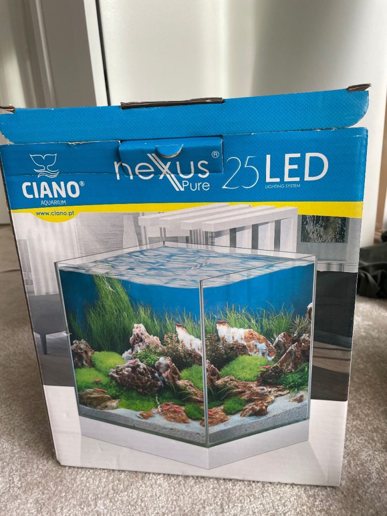 Fish tank aquarium