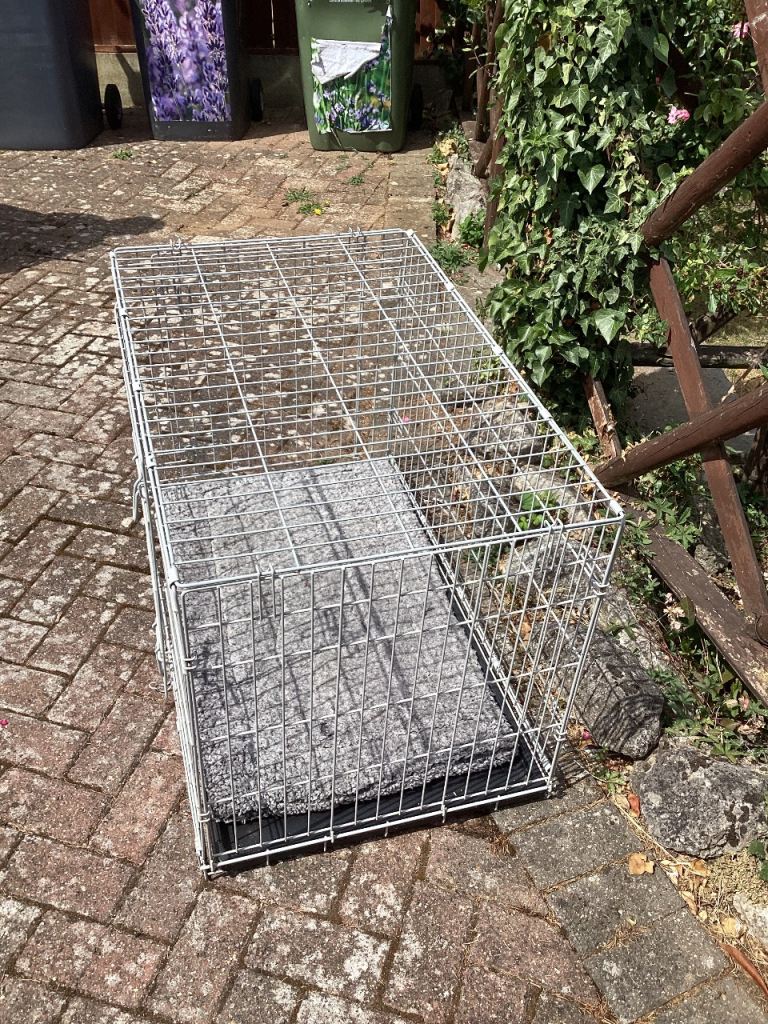 Medium size dog crate 