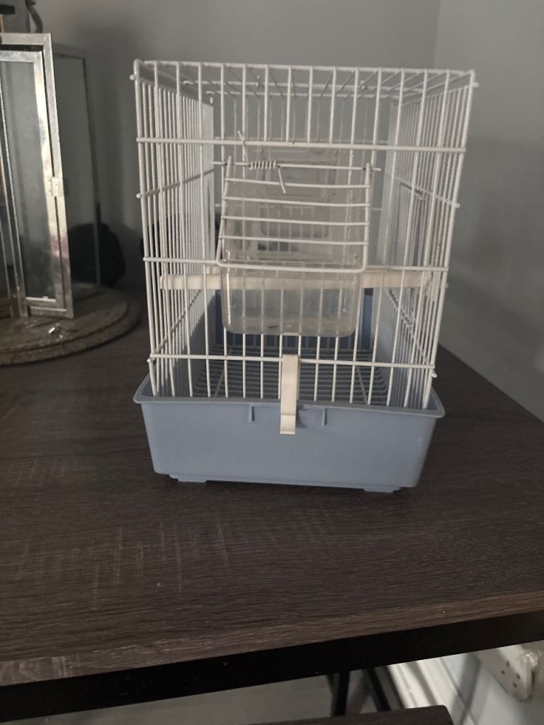 bird cage 