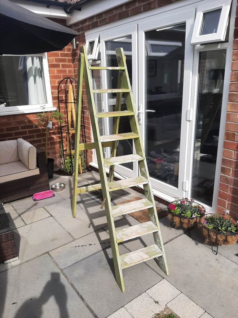 Decative ladder plant stand