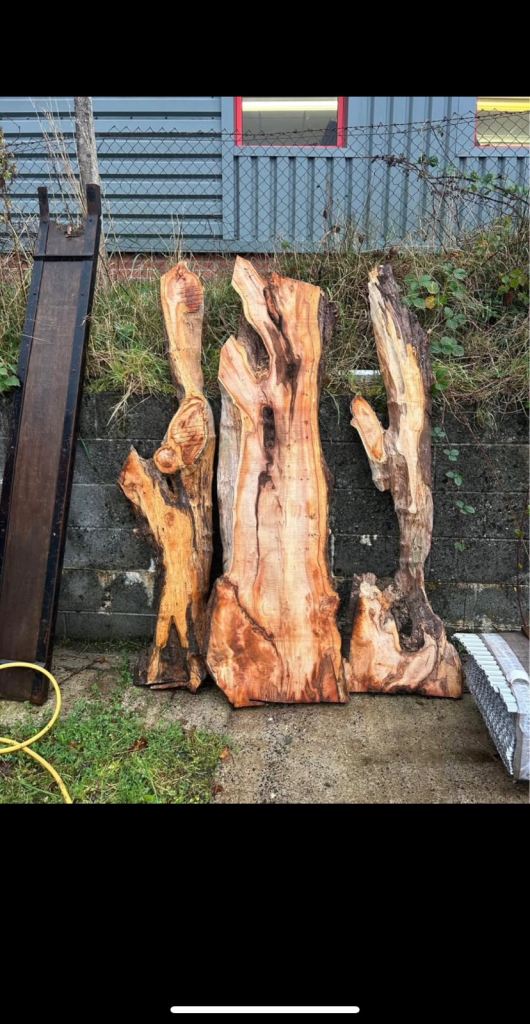 Some large/small yew boards for sale varying prices, aswell as beautifull chunks of monkey puzzle!