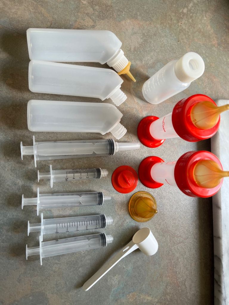 Kitten/Puppy Bottle Feeding Kit 