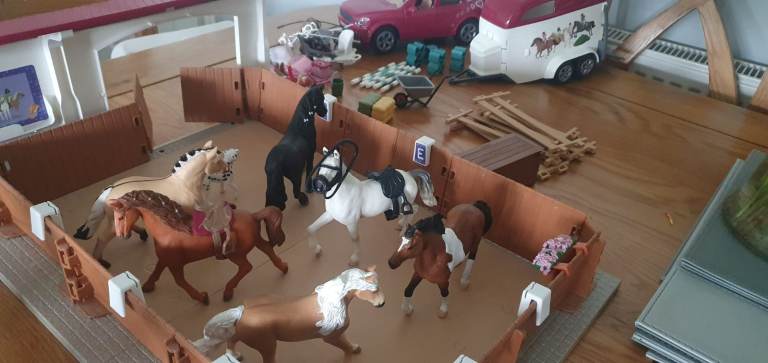 Schleich Horse Club Riding Arena & Accessories – Good Condition