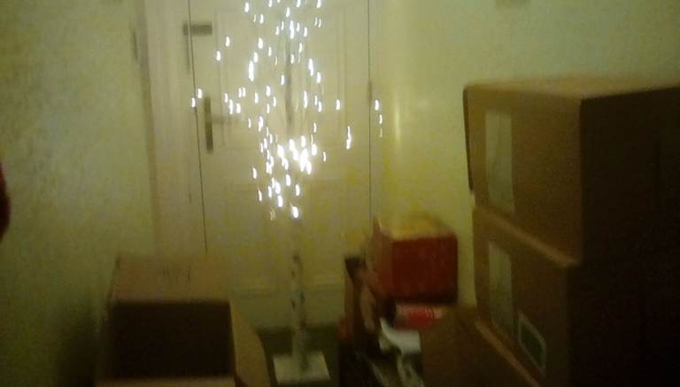 Sparkly Christmas Tree Decoration with White Lights