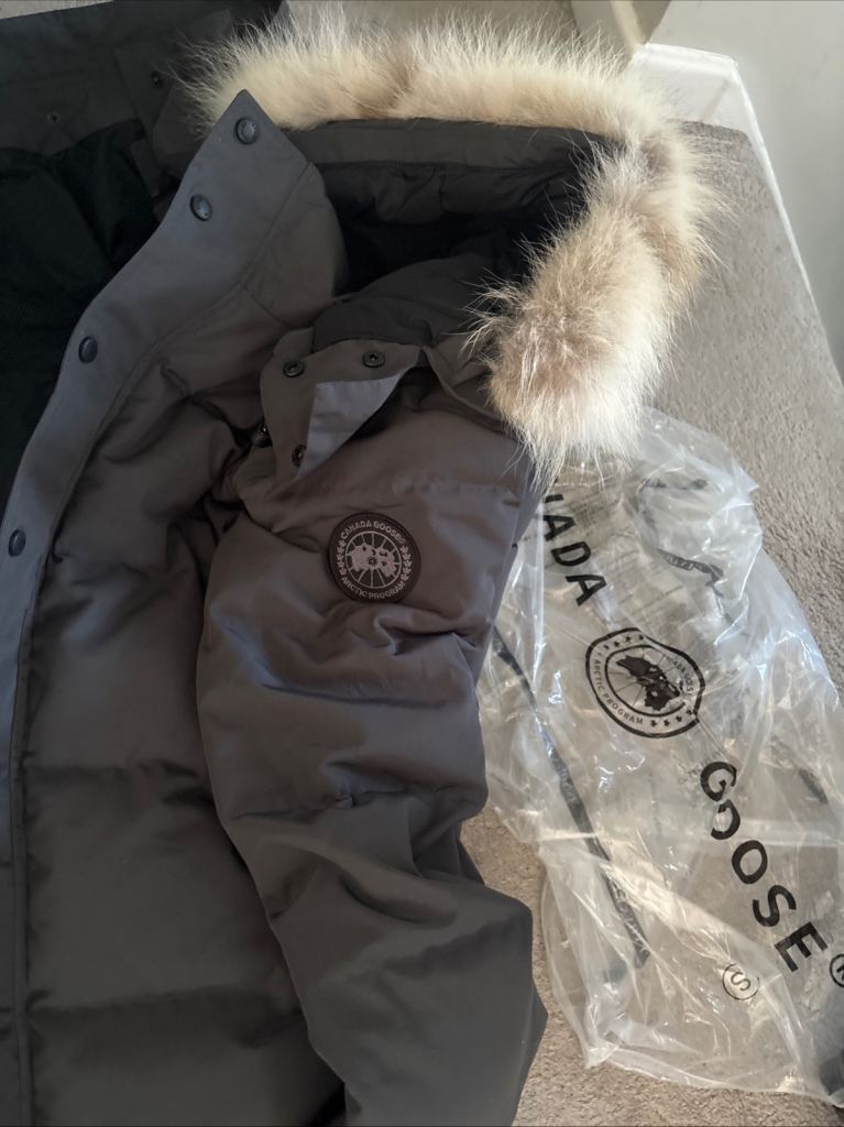 Canada goose 