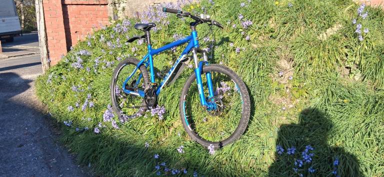 Carrera Subway aluminium frame bike 