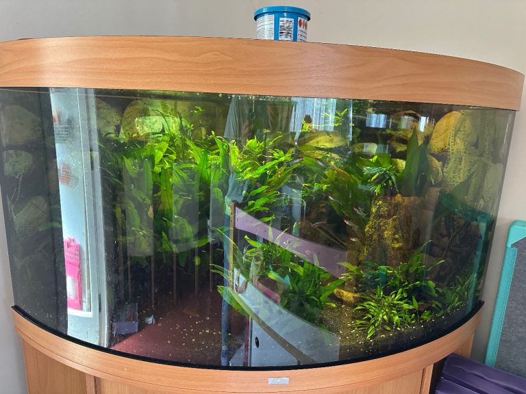 Large Corner Aquarium Fish Tank with Stand – Good Condition