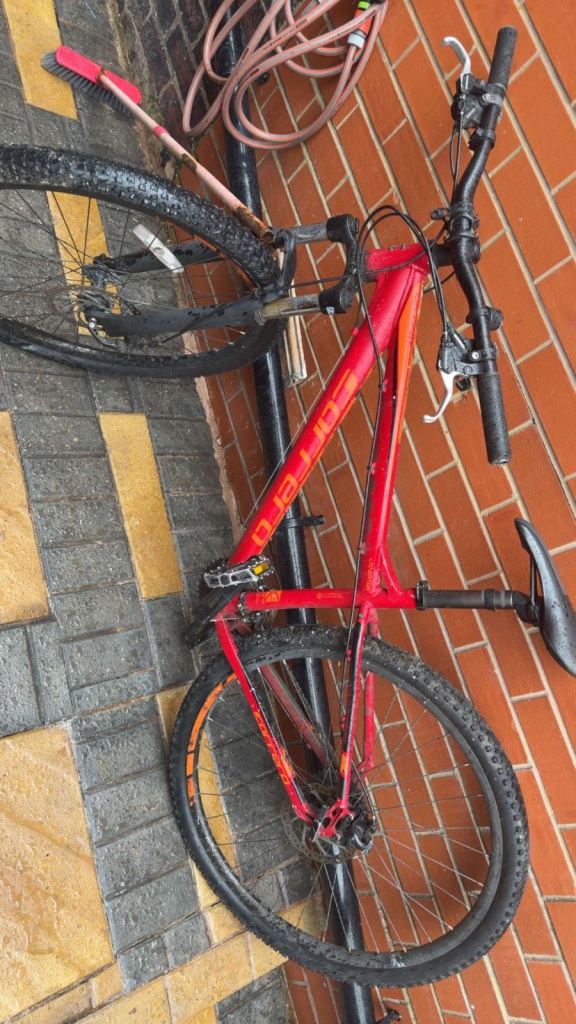 Hellcat 29er mountain bike carrera