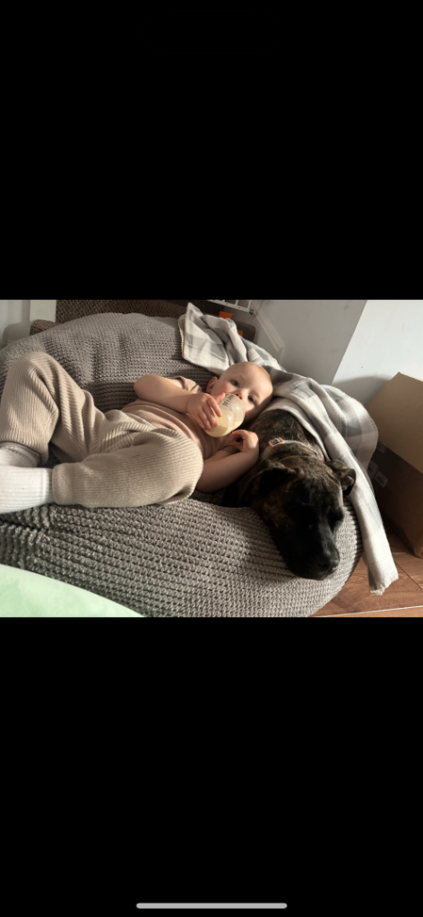 Last Reduction! nova 