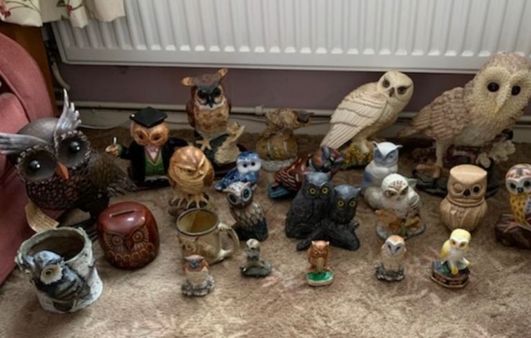 Collection of owls 