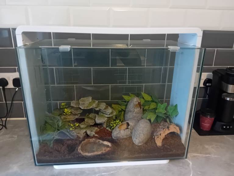 Small reptile aquarium/Tank