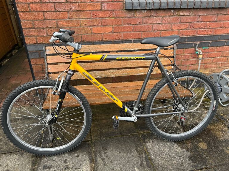 Claud Butler Men’s mountain bike, Pine Lake
