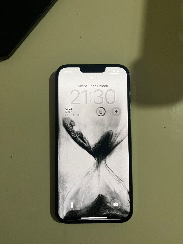 iPhone 13 Pro Max 