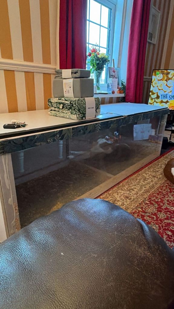 Massive pet box