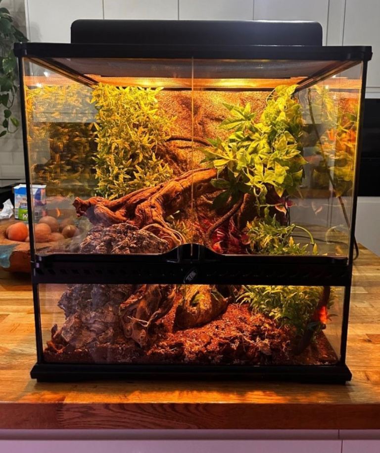 Exo terra reptile tank large 