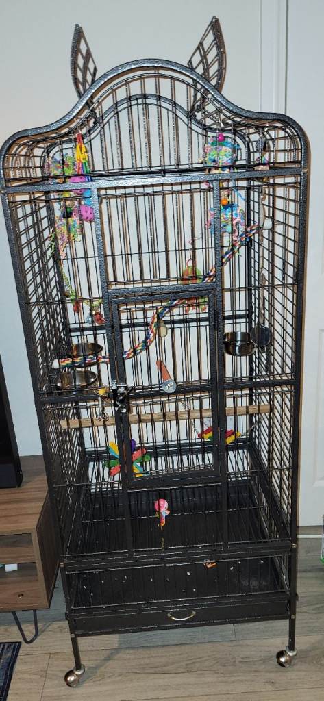 Parrot Cage
