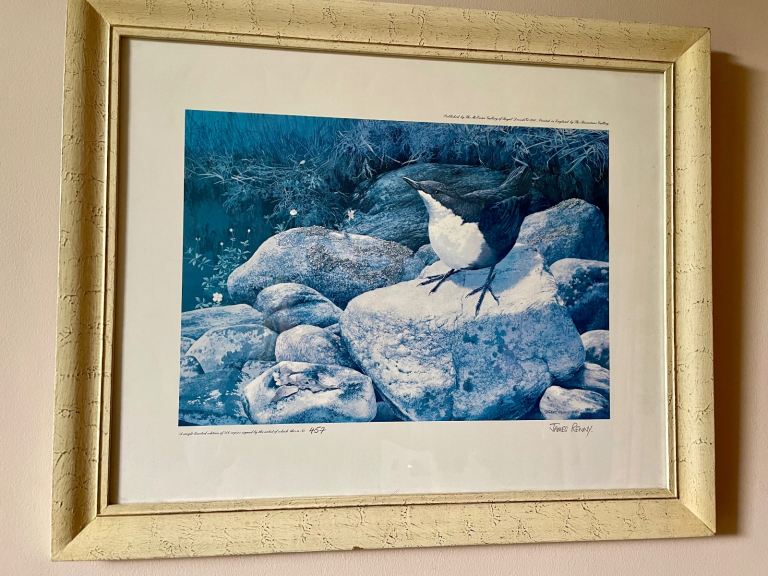 Bird print picture signed copy 