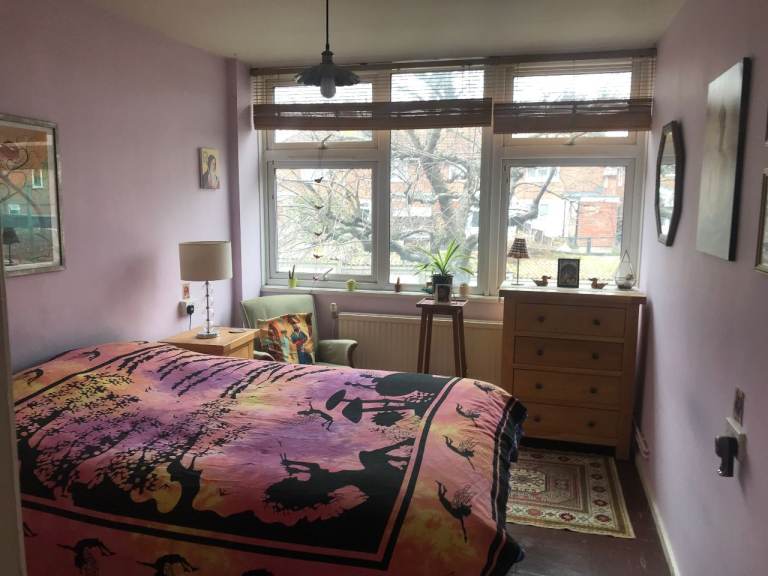Light room in a cozy flat in Bromley (London)
