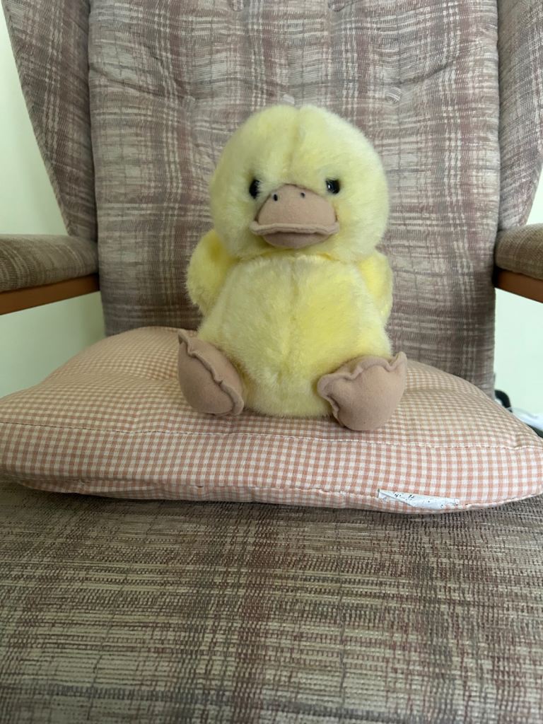 Duck soft toy