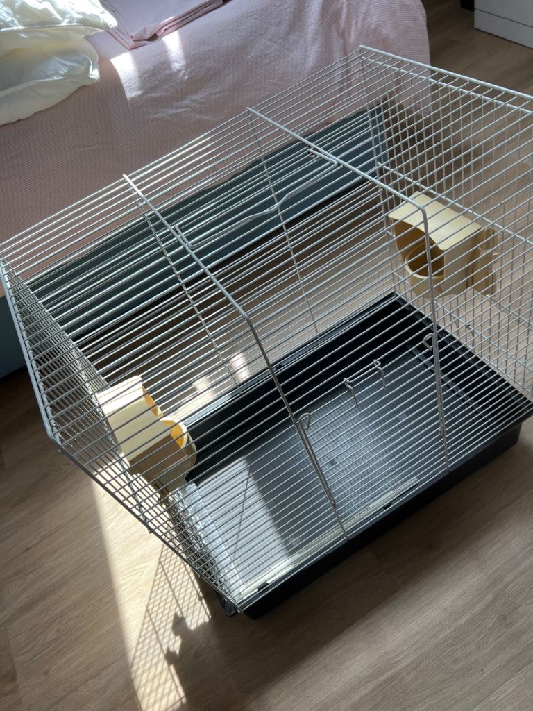 Birds cage parrots 