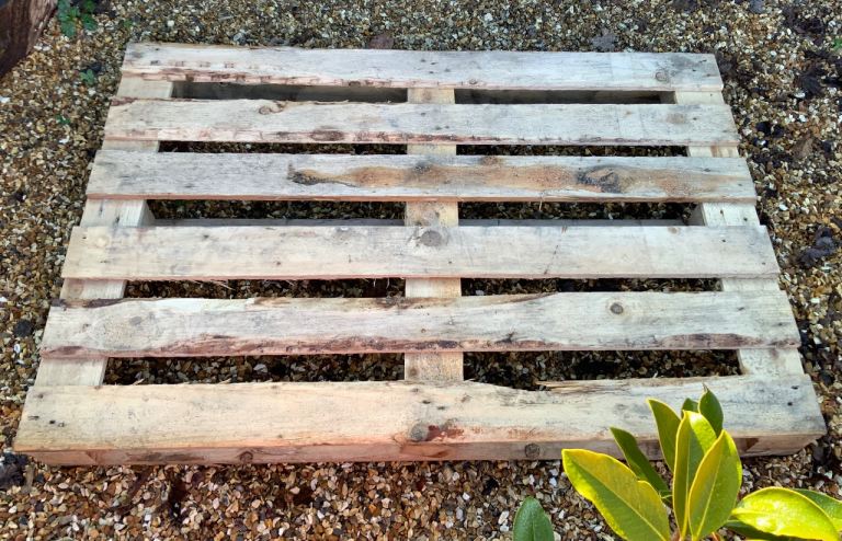 Free- large wooden pallet for collection.