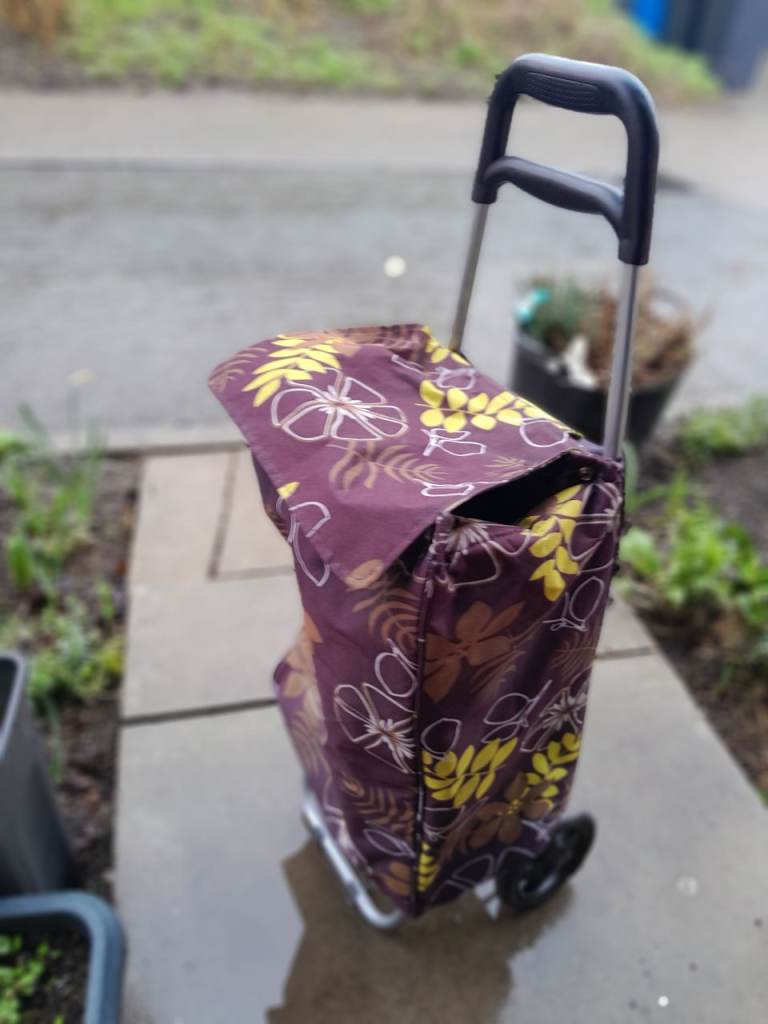 Shopping trolley lined for frozen food 