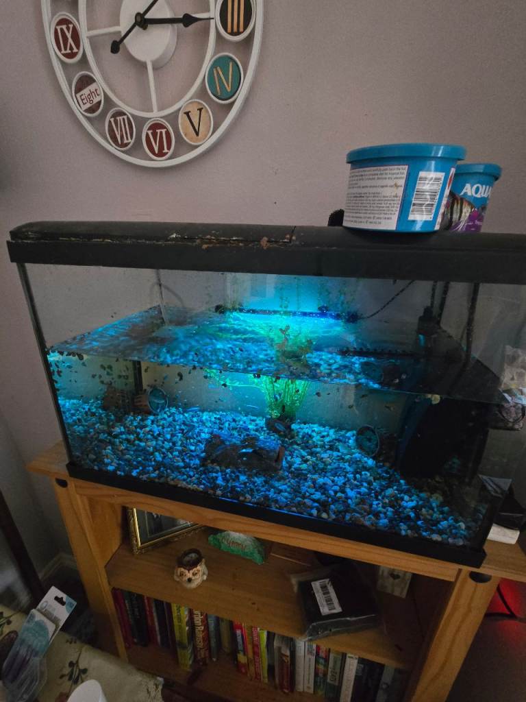 Complete set up fish tank