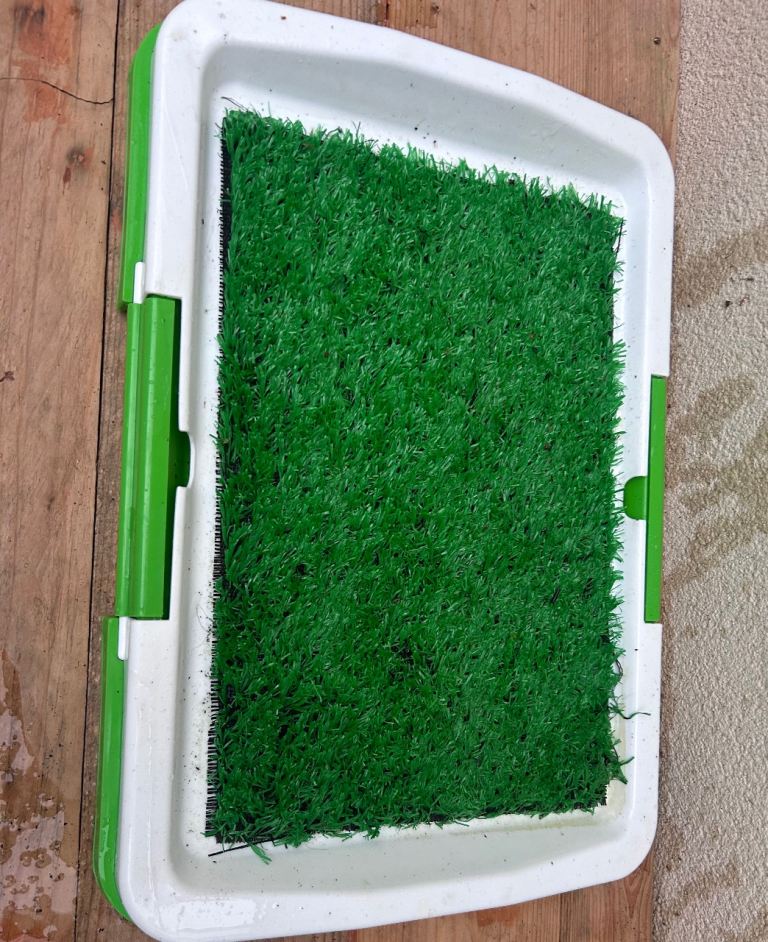 Puppy training pad 