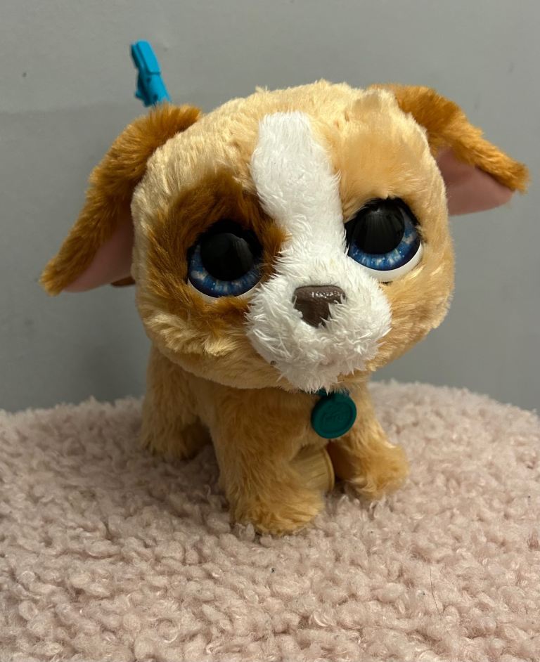 Fur real friends walk along puppy
