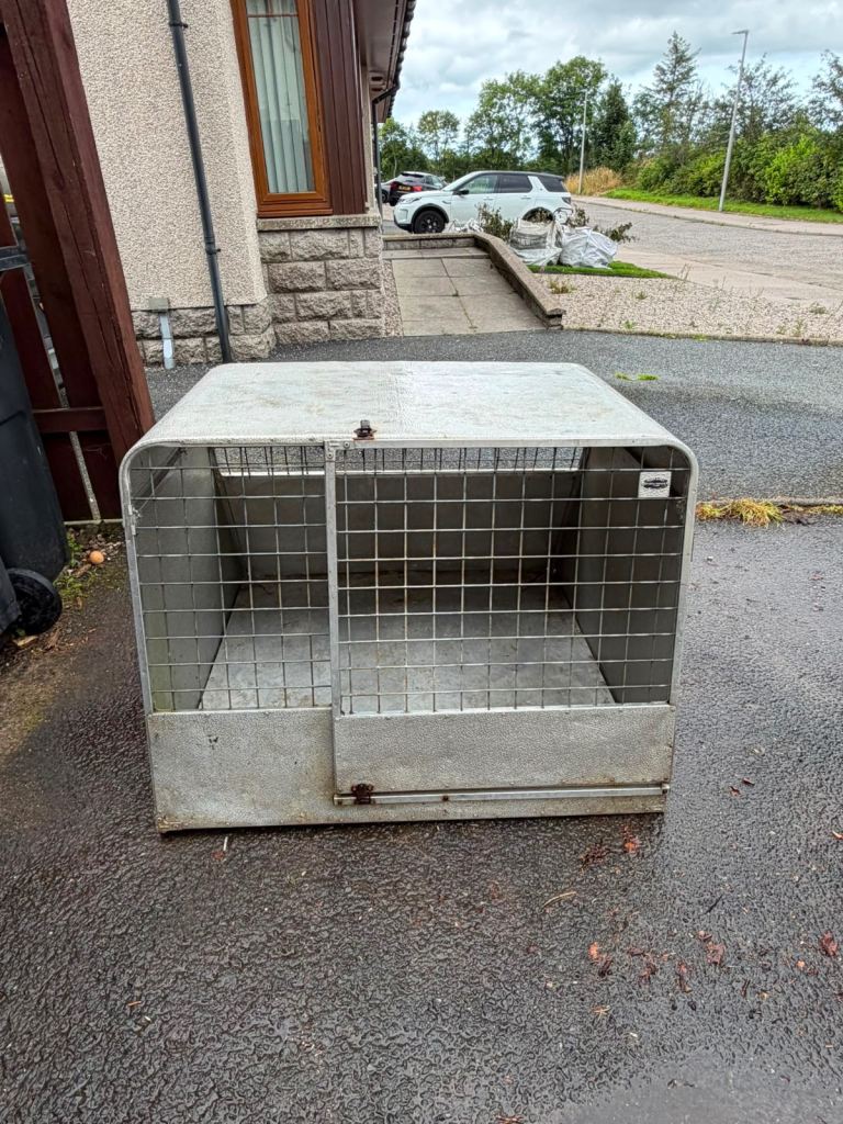 Dog box 