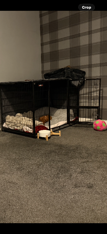 Heavy duty x large dog crate 