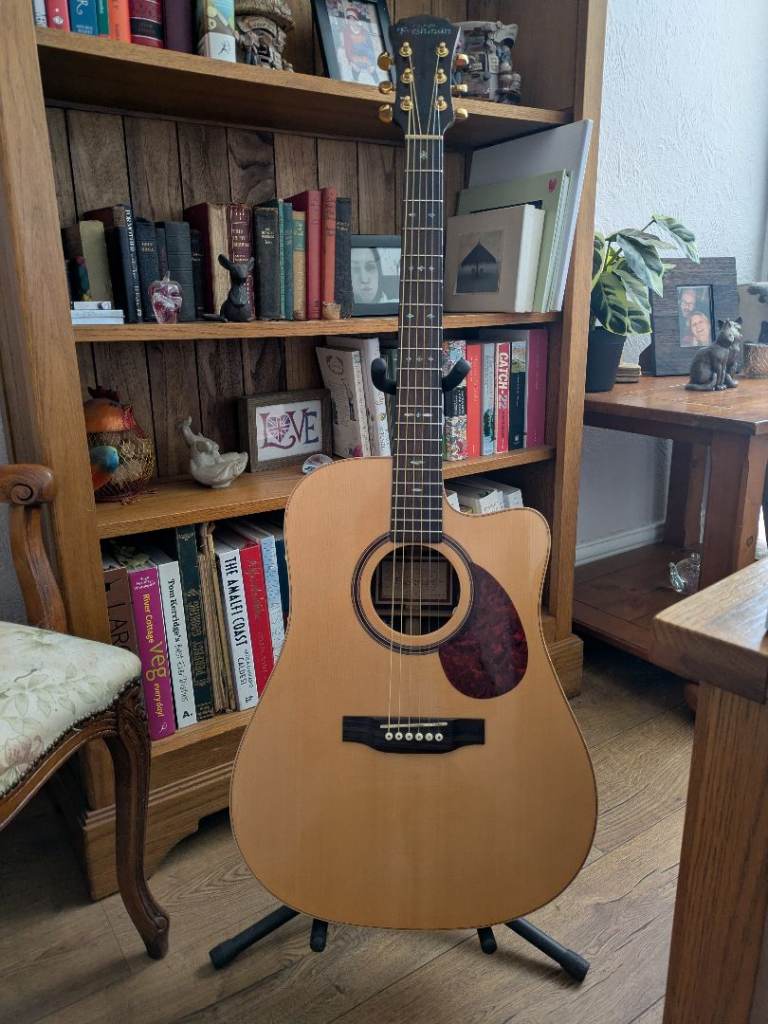 Freshman FA400D CE/S and hard case