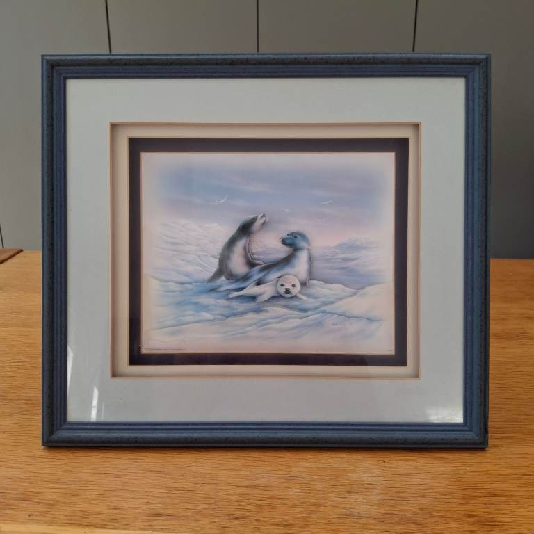 Decoupage Vintage Framed Artic Seal Print 3D Wall Art Ron Pohl 36x31 cm