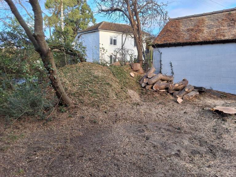 image for Wood chips