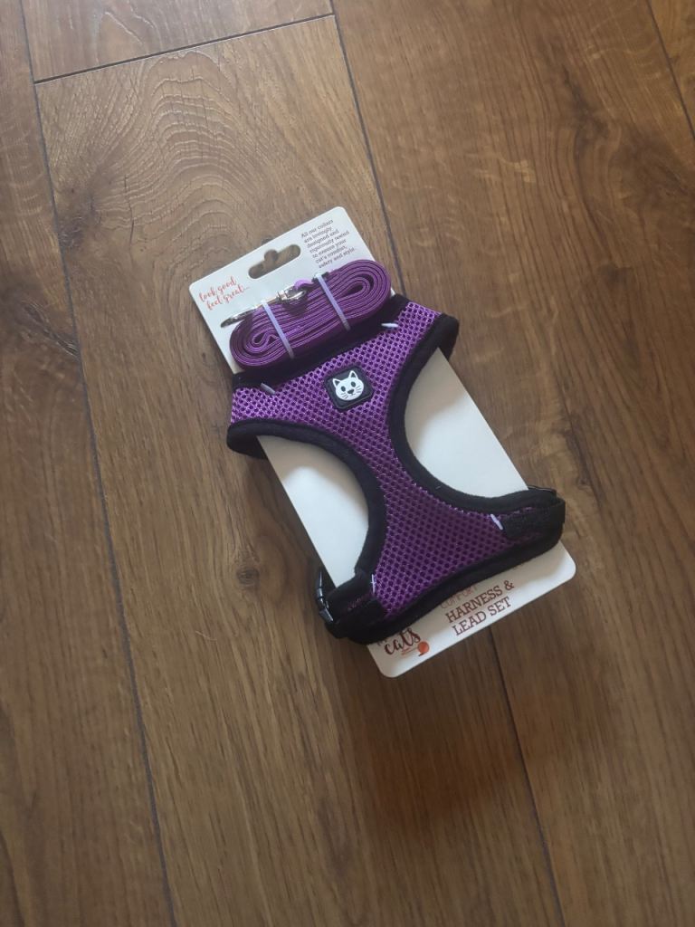 cat lead / harness 