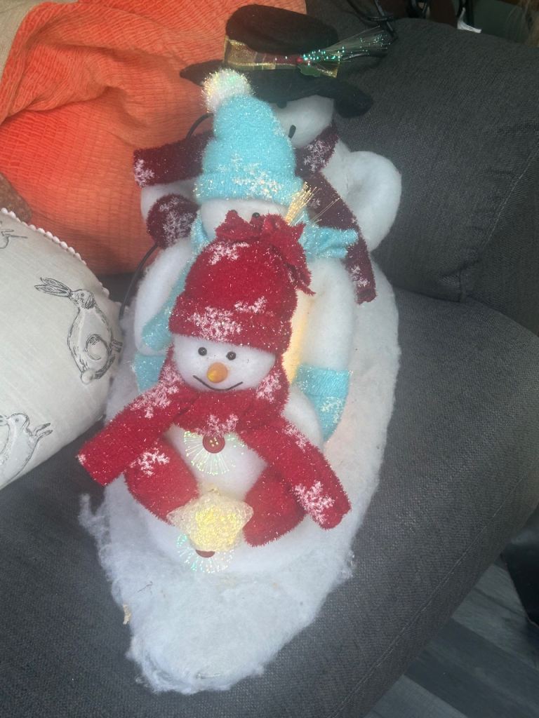 FREE Christmas lights/decorations