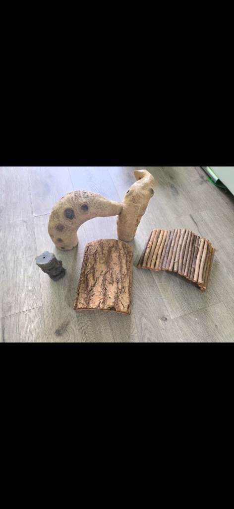 desert vivarium accossories for gecko, dragon