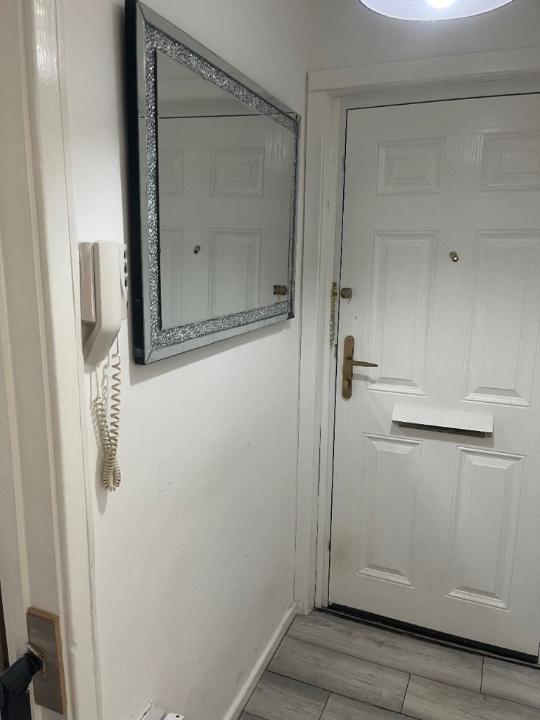 For rent for Anthony Joshua fight 
