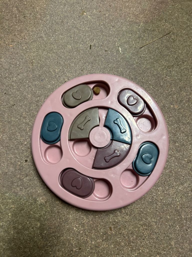 Dog food/treat puzzle 