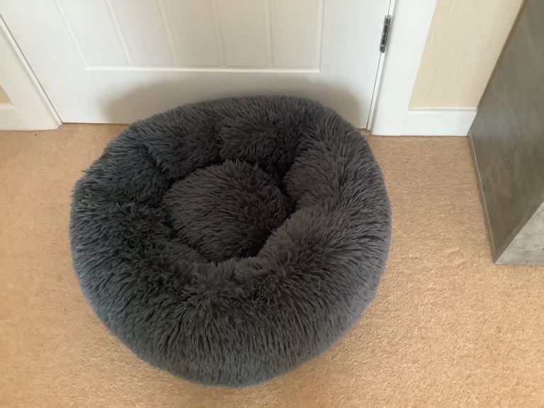 FREE dogs bed