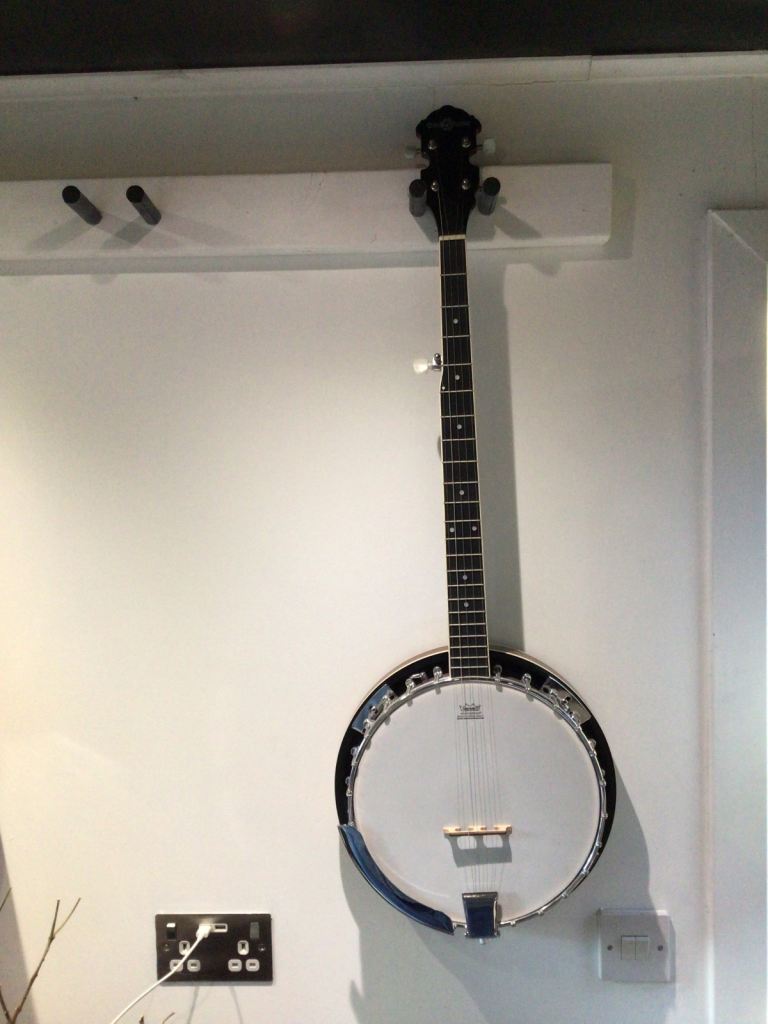 5 string banjo with case for sale