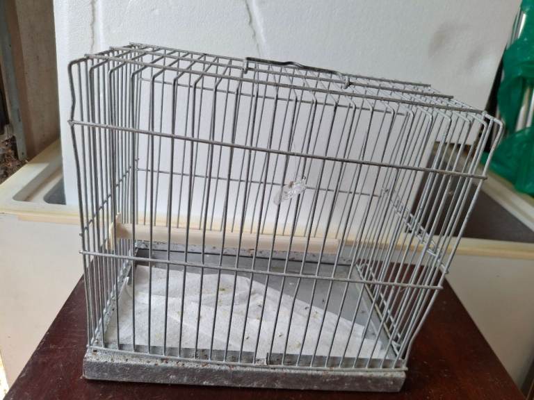 Wire Show Cage