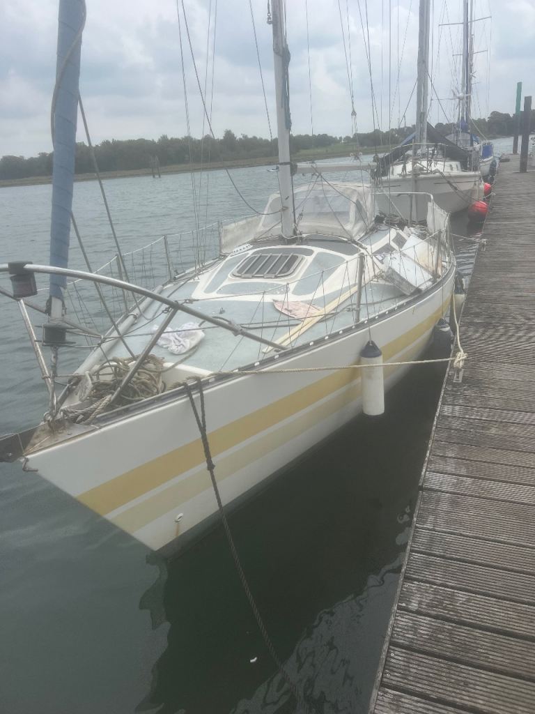 image for evolution 26 